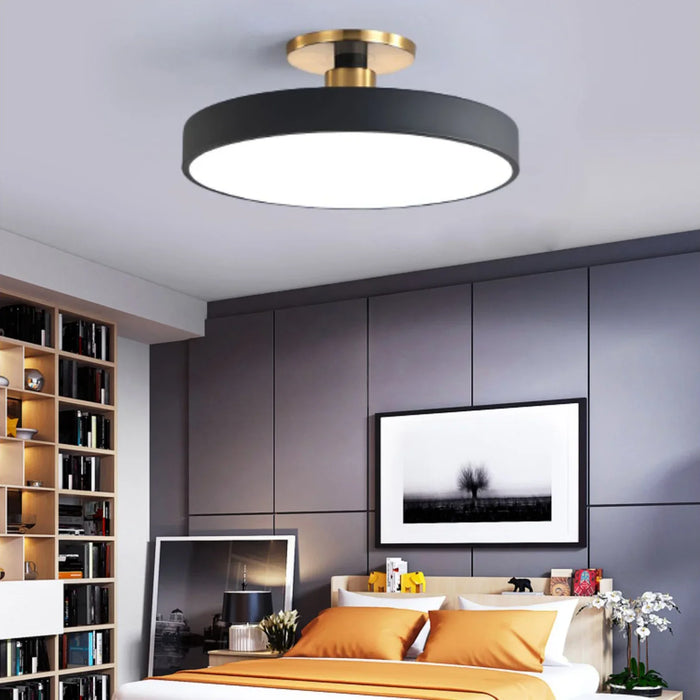 Frosted aluminum and acrylic ceiling light with dimmable LED bulbs for modern kitchen, bedroom, and dining areas
