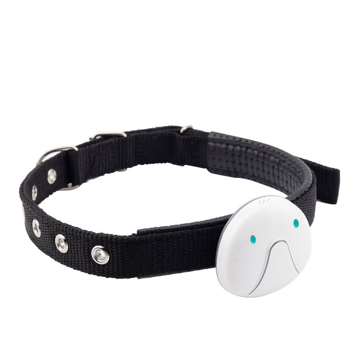 Pet GPS Tracker – Real-Time Location with GPS, Beidou, WiFi & LBS Positioning - Samanta Factory
