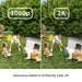 Outdoor Cam 2 Pack with Additional Quick Release Battery
