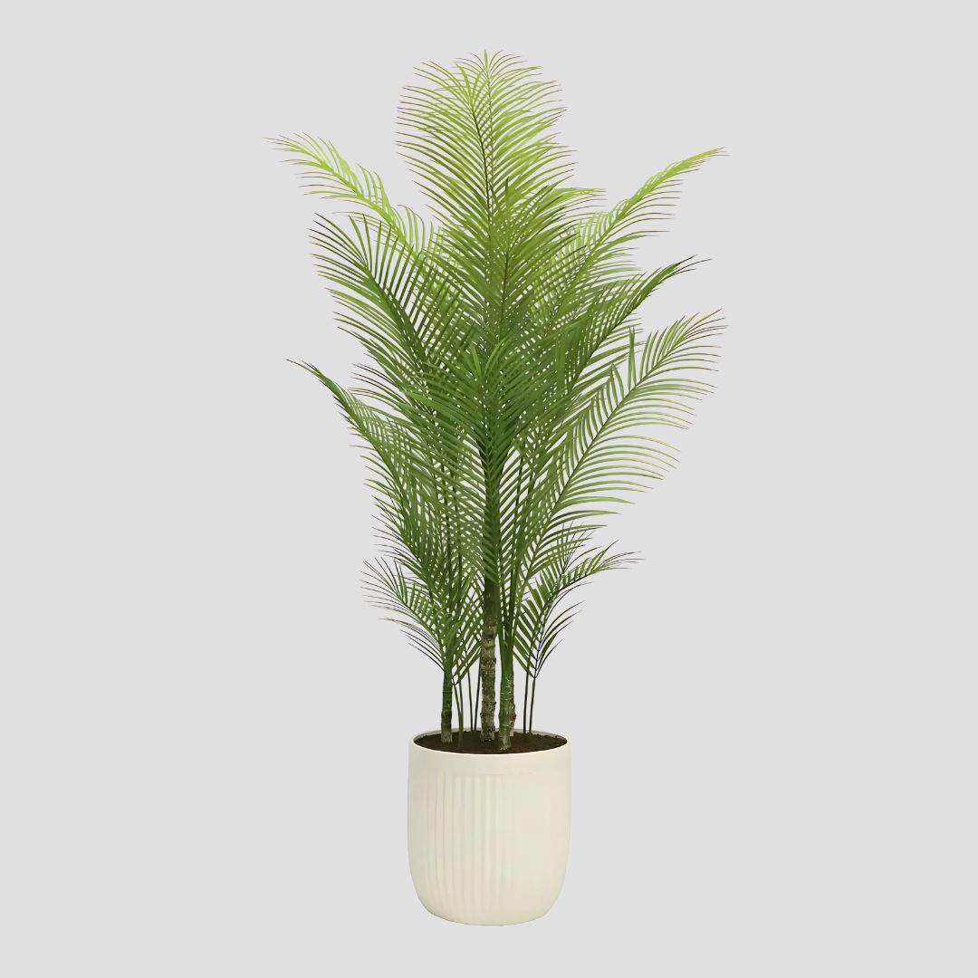 Home & Decor