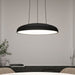 Flint Pendant LED Light in Black