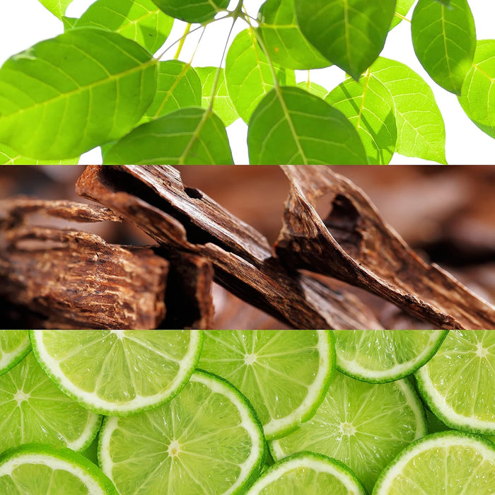 Men's Perfume Spray – Aromatic & Green Scent with Citrus & Woody Notes - Samanta Factory