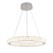 Celebrity LED Pendant Dimmable Lighting Fixture