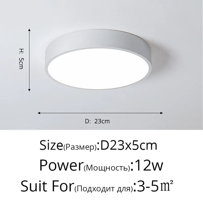 New Design LED Ceiling Light – Modern Corridor, Art Gallery & Balcony Lamp in White & Black - Samanta Factory
