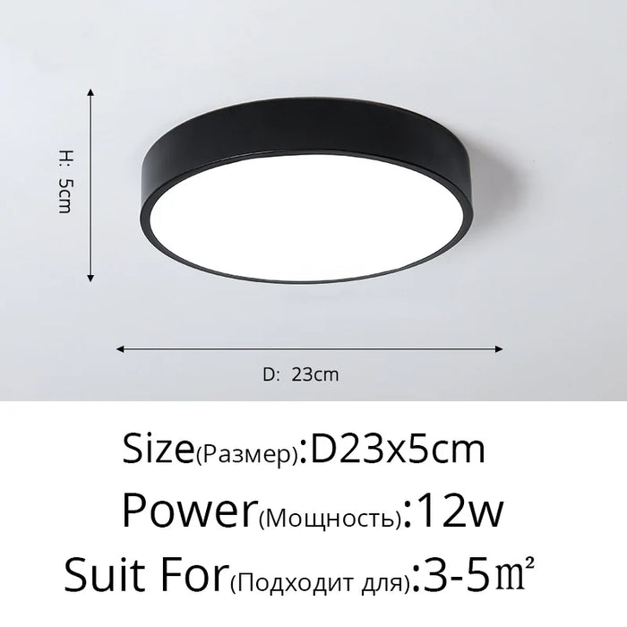 New Design LED Ceiling Light – Modern Corridor, Art Gallery & Balcony Lamp in White & Black - Samanta Factory