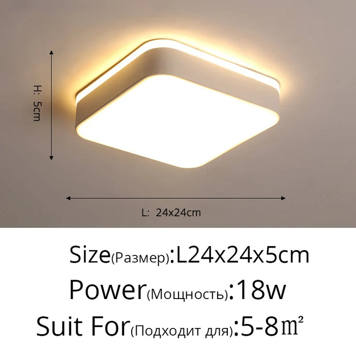 New Design LED Ceiling Light – Modern Corridor, Art Gallery & Balcony Lamp in White & Black - Samanta Factory