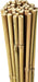 Bamboo Canes – 6FT Extra Tall Garden Plant Supports - Samanta Factory