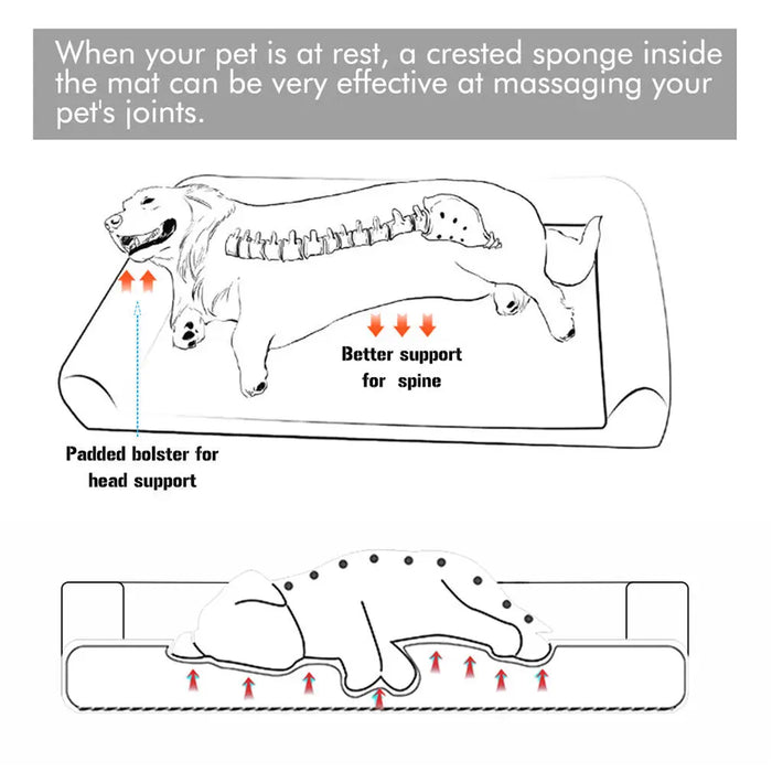 Orthopedic Dog Sofa Bed – Extra-Thick Foam Base with Washable Plush Cover & Bolster Support - Samanta Factory