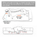 Orthopedic Dog Sofa Bed – Extra-Thick Foam Base with Washable Plush Cover & Bolster Support - Samanta Factory