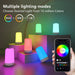Smart RGB Night Light Lamp – Touch Control with App - Samanta Factory