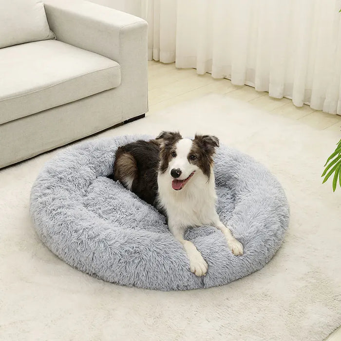Dog Cotton Bed – Soft, Washable Sofa-Style Pet Bed for All-Season Comfort - Samanta Factory