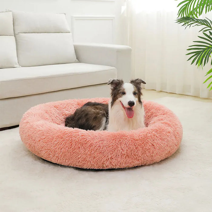 Dog Cotton Bed – Soft, Washable Sofa-Style Pet Bed for All-Season Comfort - Samanta Factory