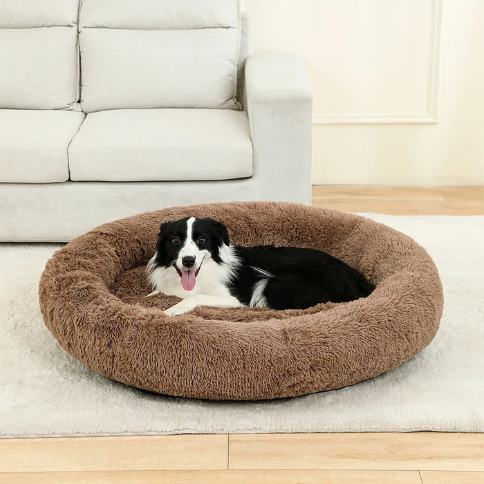 Dog Cotton Bed – Soft, Washable Sofa-Style Pet Bed for All-Season Comfort - Samanta Factory