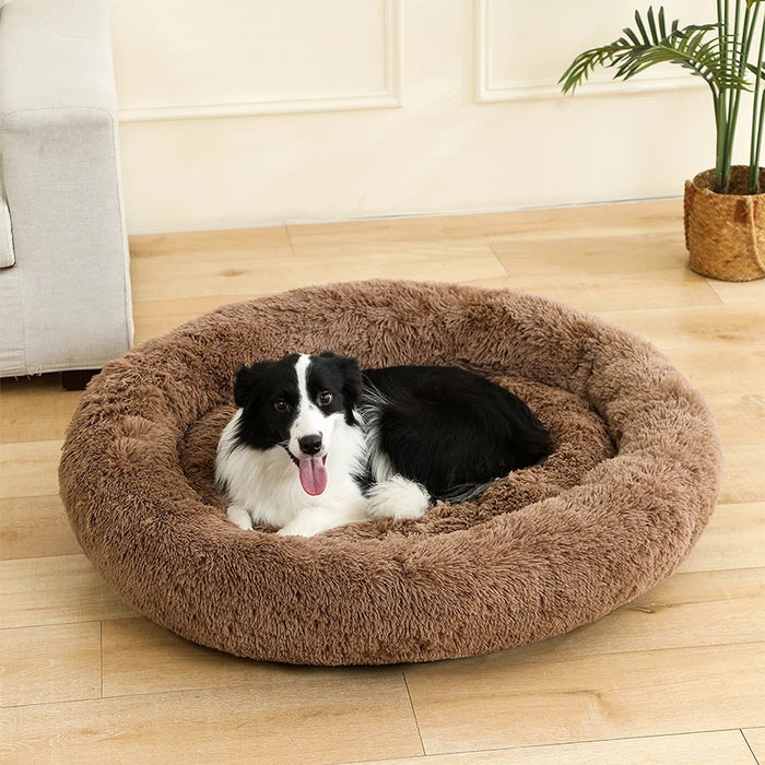 Dog Cotton Bed – Soft, Washable Sofa-Style Pet Bed for All-Season Comfort - Samanta Factory