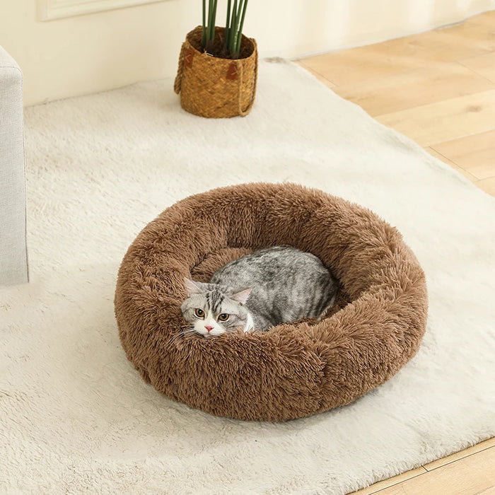 Dog Cotton Bed – Soft, Washable Sofa-Style Pet Bed for All-Season Comfort - Samanta Factory
