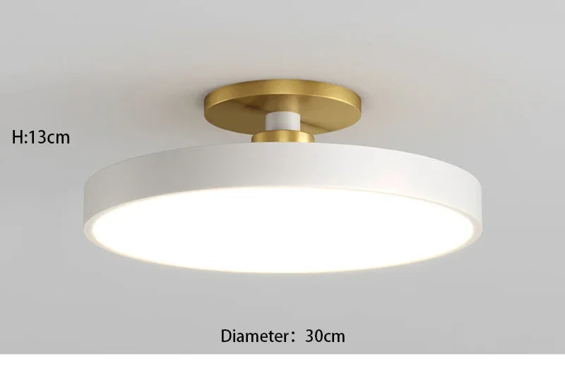 LED Ceiling Light – Modern Suspended Multi-Bulb Fixture for Kitchen, Bedroom, or Dining