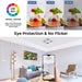 Modern LED Ceiling Light – 24W Surface-Mounted Fixture with 3-Color Modes - Samanta Factory