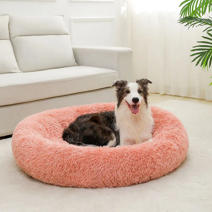 Dog Cotton Bed – Soft, Washable Sofa-Style Pet Bed for All-Season Comfort - Samanta Factory