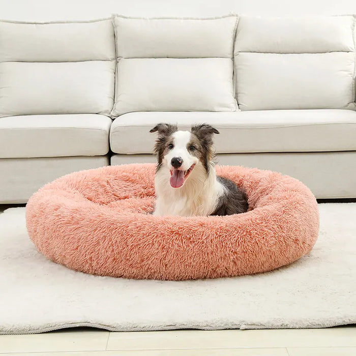 Dog Cotton Bed – Soft, Washable Sofa-Style Pet Bed for All-Season Comfort - Samanta Factory