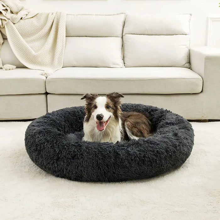 Dog Cotton Bed – Soft, Washable Sofa-Style Pet Bed for All-Season Comfort - Samanta Factory