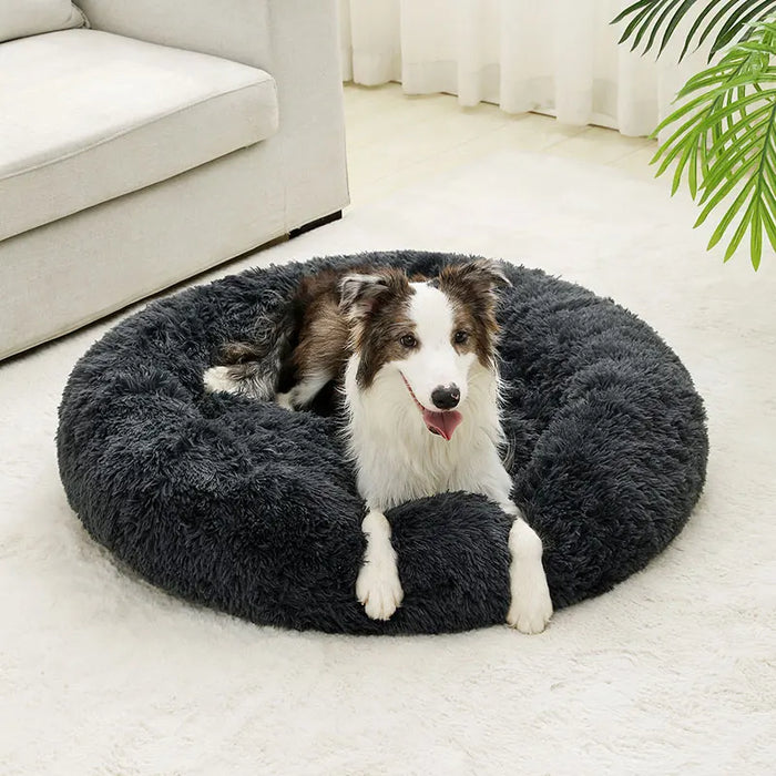 Dog Cotton Bed – Soft, Washable Sofa-Style Pet Bed for All-Season Comfort - Samanta Factory