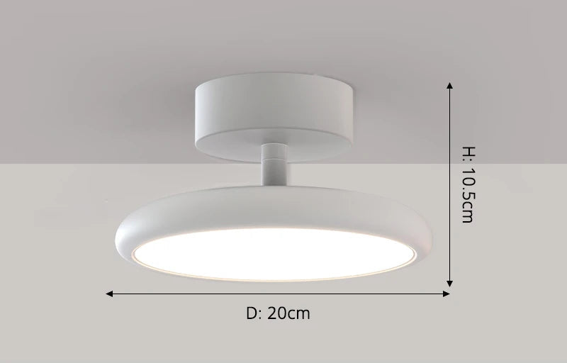 Modern Surface-Mounted Ceiling Light – Remote-Controlled LED Fixture for Bedrooms and Living