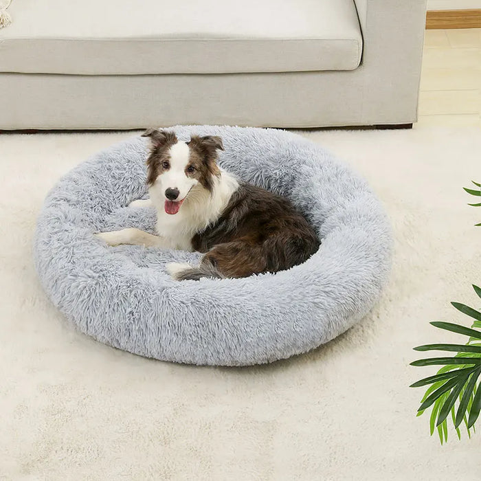 Dog Cotton Bed – Soft, Washable Sofa-Style Pet Bed for All-Season Comfort - Samanta Factory