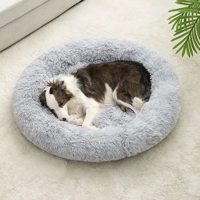 Dog Cotton Bed – Soft, Washable Sofa-Style Pet Bed for All-Season Comfort - Samanta Factory