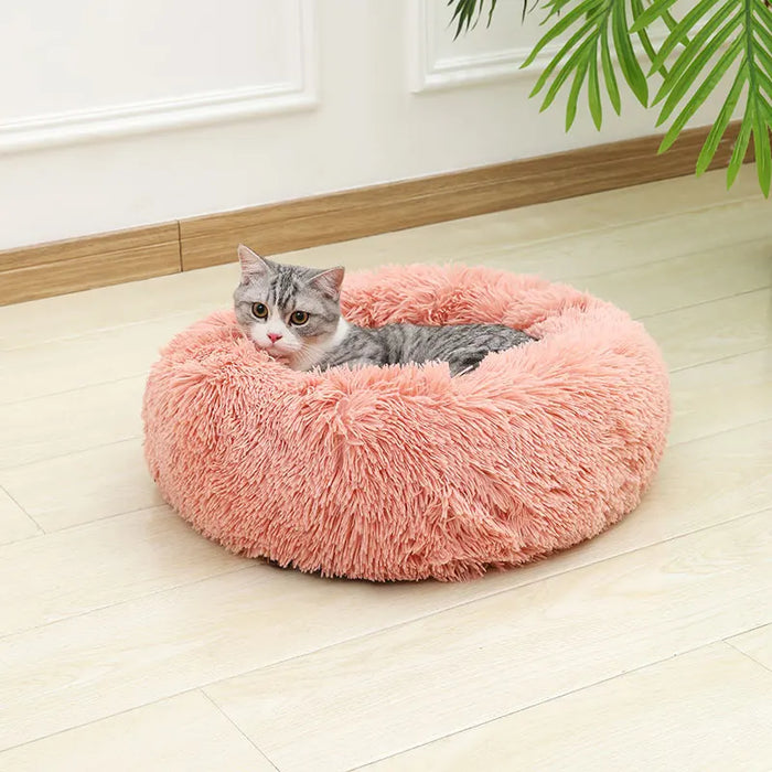 Dog Cotton Bed – Soft, Washable Sofa-Style Pet Bed for All-Season Comfort - Samanta Factory