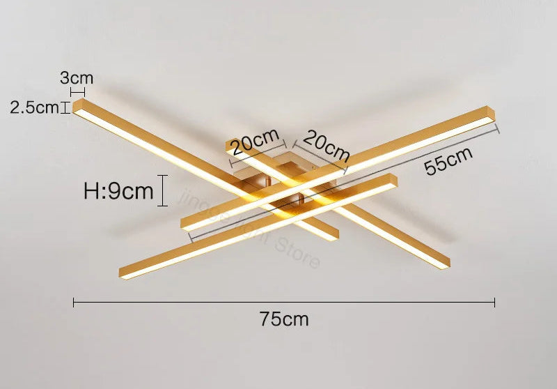 Ceiling Light – Modern Nordic Iron & Acrylic Design with LED Illumination