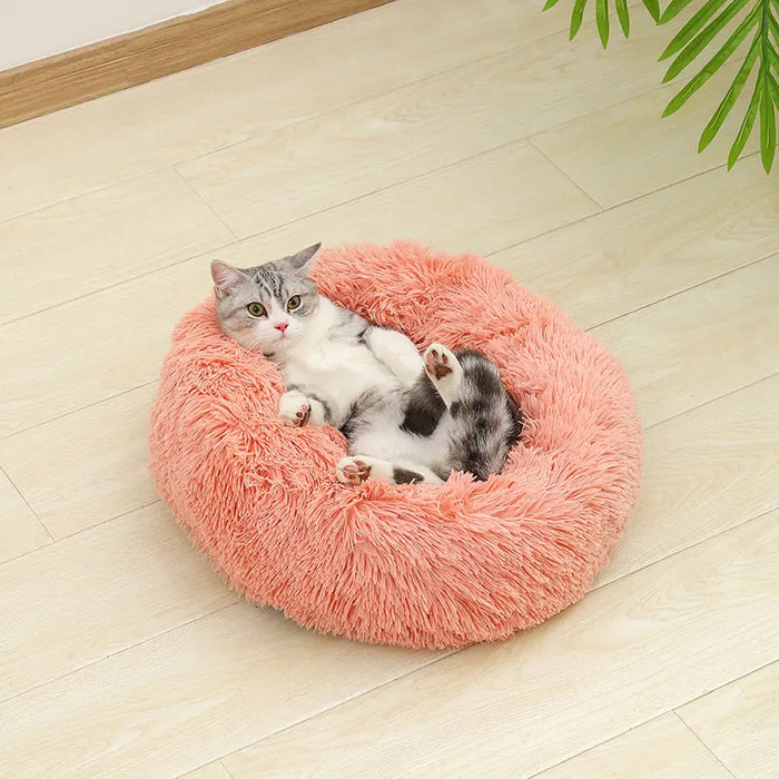 Dog Cotton Bed – Soft, Washable Sofa-Style Pet Bed for All-Season Comfort - Samanta Factory