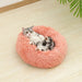 Dog Cotton Bed – Soft, Washable Sofa-Style Pet Bed for All-Season Comfort - Samanta Factory