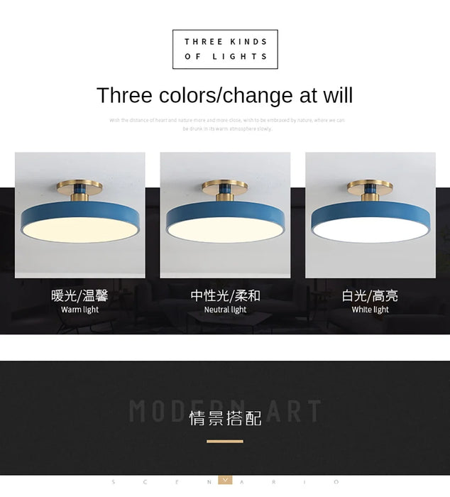 LED Ceiling Light – Modern Suspended Multi-Bulb Fixture for Kitchen, Bedroom, or Dining