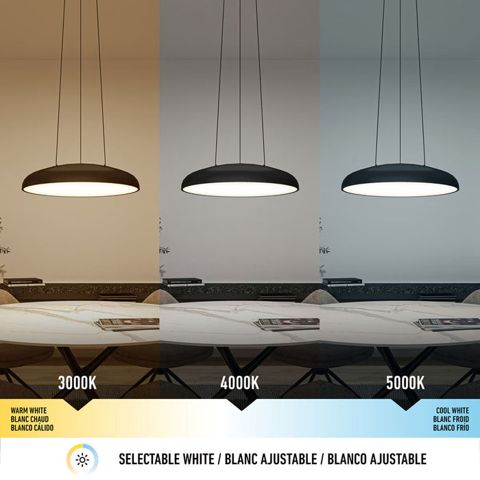 Flint Pendant LED Light in Black