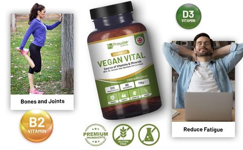 Vegan Multivitamins & Minerals (120 Capsules) 🌱 High-Strength Formula with B12, D3 & Iron - Prowise UK - Samanta Factory