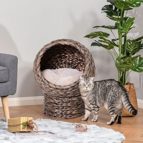 "Wicker elevated cat bed with cozy interior cushion and raised base for indoor comfort"