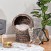 "Wicker elevated cat bed with cozy interior cushion and raised base for indoor comfort"