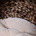 Wicker Cat House – Elevated Bed with Cozy Interior - Samanta Factory