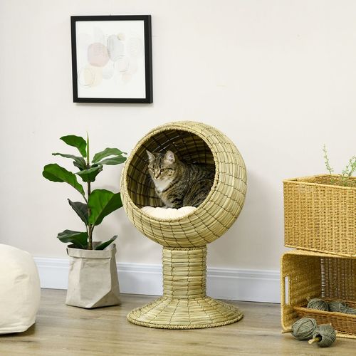 100cm beige cat tree with condo, sisal scratching posts, and play rope – indoor playground for small to medium cats