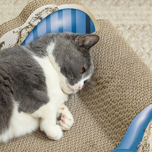 PawHut 2 in1 Cat Scratcher with Catnip, Cardboard Lounge Bed, Blue - Samanta Factory