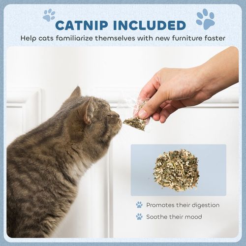 PawHut 2 in1 Cat Scratcher with Catnip, Cardboard Lounge Bed, Blue - Samanta Factory